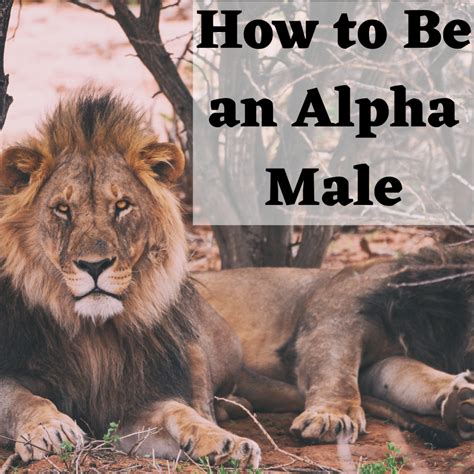 List 93 Pictures What Does An Alpha Male Look Like Latest