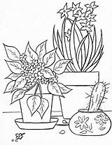 Macetas Flowerpot Desenhos Colorir Malvorlagen Picasaweb sketch template