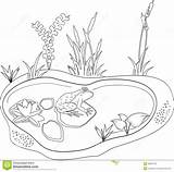 Pond Clipart sketch template