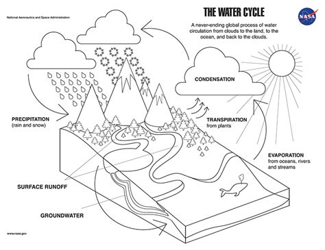 coloring page  water cycle climate change vital signs   planet