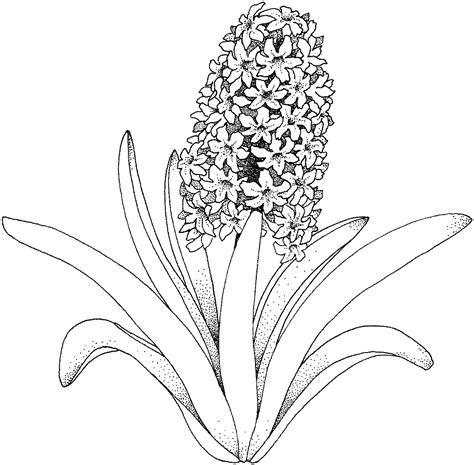 flowercoloringpages coloring pages az coloring pages abstract