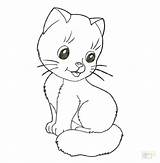 Coloring Pages Cute Printable Cat Cats Warrior Color Getcolorings Colouring Kitty Print Getdrawings sketch template
