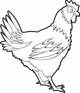 Chicken Coloring Pages Printable Realistic Drawing Minecraft Kids Chickens Color Outline Getdrawings Cartoon Cooked Print Animal Getcolorings Choose Board Animals sketch template