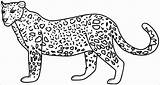 Cheetah Coloring Cartoon Pages Coloringbay sketch template