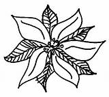 Coloring Christmas Pages Poinsettia Flower Gif Outline Flowers Printables 2010 Pencils11 Bookmark Title Popular Adults Imagen Drawing sketch template