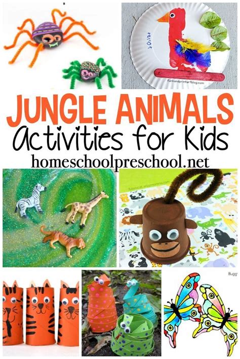 fun jungle animal activities  preschoolers homeschool preschool