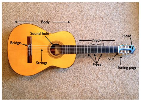 acoustic guitar labeled parts  taught guitar lessons