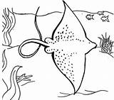 Stingray Coloring Pages Ocean Big Kids sketch template