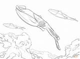 Squid Designlooter Ausmalbild Riesenkalmar Kalmar Tiefsee Birijus Geheimnisvolle Reef Bigfin sketch template