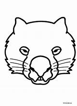 Wombat Lizard Lion Stew Mascaras Possum Aussie sketch template