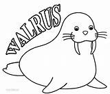 Walrus Coloring Pages Drawing Kids Printable Colouring Cool2bkids Sheets Animal Book Arctic Visit Getdrawings Sea Choose Board sketch template