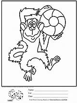 Coloring Pages Chimpanzee Animals Animal Species Primate Beings Intellectual Among Common Human Lot Most Part Kids Ginormasource sketch template