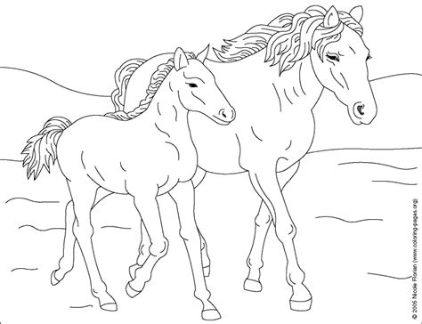 coloring horse coloring pictures