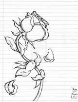 Rose Drawing Dying Poison Beast Beauty Step Drawings Getdrawings Anime Deviantart sketch template