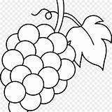 Anggur Grapes Mewarnai Buah Fruite Webstockreview Pngfind sketch template