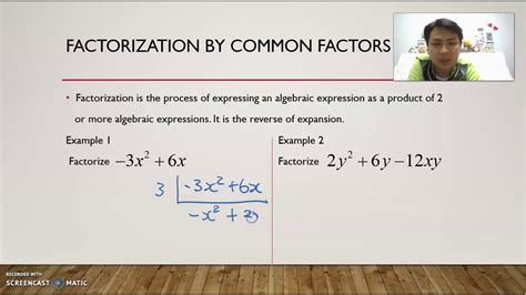 factorization  common factors youtube
