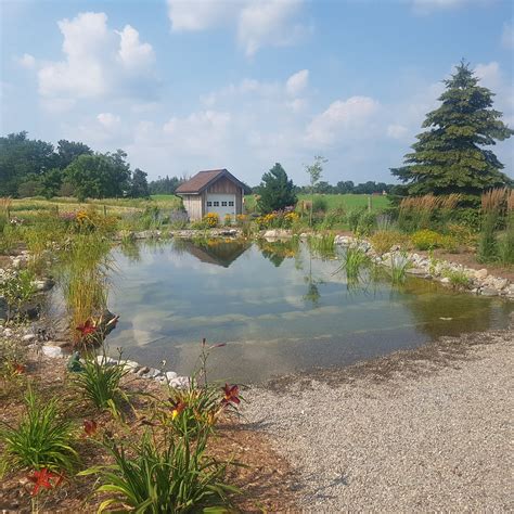 beauty  backyard recreational ponds quiet nature