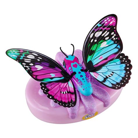 pets lil butterfly   real butterfly rare wings