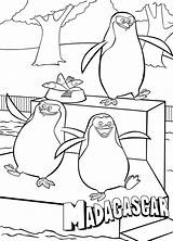 Madagascar Kleurplaten Pinguins sketch template