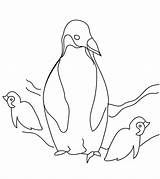 Coloring Penguin Pages Penguins Printable Kids Book Little Templates sketch template