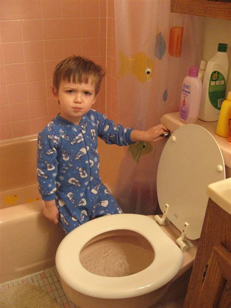 curious kids    poo    flush  toilet