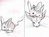 Jerboa Coloring Template sketch template