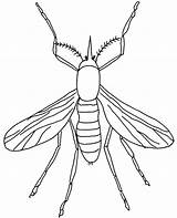 Coloring Pages Mosquito Insect Insects Insekten Bugs Printable Flying Color Animal Colouring Kleurplaat Animated Mug Print Kleurplaten Topcoloringpages Animals Gif sketch template