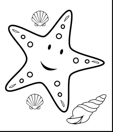 excellent starfish outline clip art  coloring page fish coloring