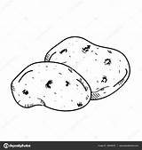 Potato Drawing Illustration Paintingvalley Drawings Getdrawings sketch template
