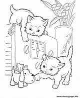 Coloring Pages Cat Playing Kids Kittens Cats Printable Animal Oven Color Book Print Dog Info Playful источник Honkingdonkey sketch template