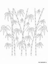 Bamboo Coloring Pages Printable Tree Color Kids Getdrawings Trees Recommended Template Getcolorings Print sketch template