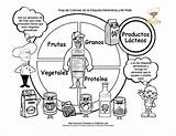 Plato Comer Grupos Alimenticios Alimentos Alimenticia Alimentacion Alimenticio Alimentación Etiqueta Saludable Alimenticias Trompo sketch template