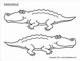 Crocodile Printable Coloring Alligator Pages Firstpalette Crocodiles Printables Templates Craft Stencils Alligators sketch template