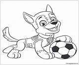 Paw Pup sketch template