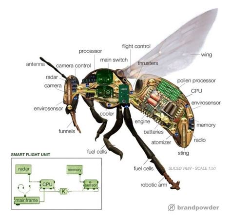 insect size spy drones unveiled whiteout press