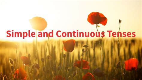 simple  continuous tenses