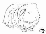 Pig Drawing Cute Guinea Sketch Guineapig Dibujo Embroidery Cuyos Coloring Pigs Pages Drawings Town Dibujos Cobaya Pattern Would Make Crafts sketch template