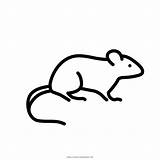 Rato Rata Rat Iconfinder Ultracoloringpages sketch template