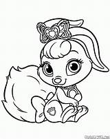 Colorare Disegni Bunny Conejito Cuccioli Bambini Lapin Principesse Kolorowanki Reali Principessa Dibujos Colorkid Mascotas Dziewczynek sketch template