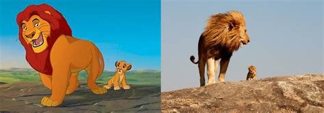 Real Life Lion King Characters Five One Eight