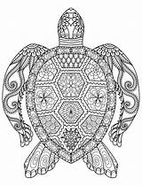 Coloring Mandala Pages Animals Animal Popular sketch template