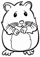 Hamster Smiling Categories Coloring sketch template