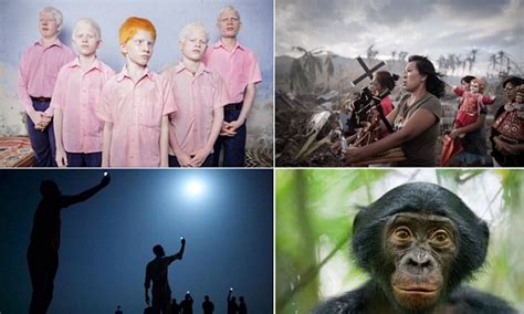 World Press Photo Contest Honours Best Images From Around