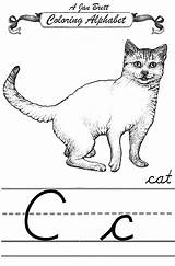 Cat Cursive Janbrett Alphabet Coloring Click Subscription Downloads sketch template