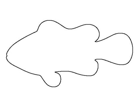 outline   fish   white background