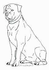 Rottweiler sketch template