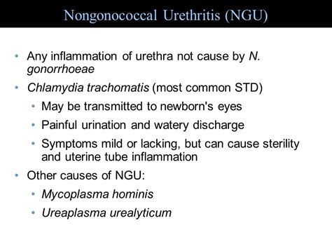 Urethritis Not Responding To Antibiotics