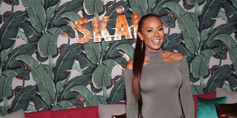 16 things we know about the mel b and stephen belafonte