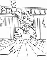 Tartarugas Ninjas Colorir Tartaruga Imprimir Preto Gratuitamente sketch template