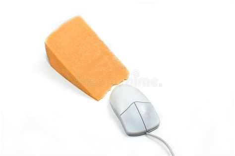 cheese  mouse stock image image  mice cheese peripherals